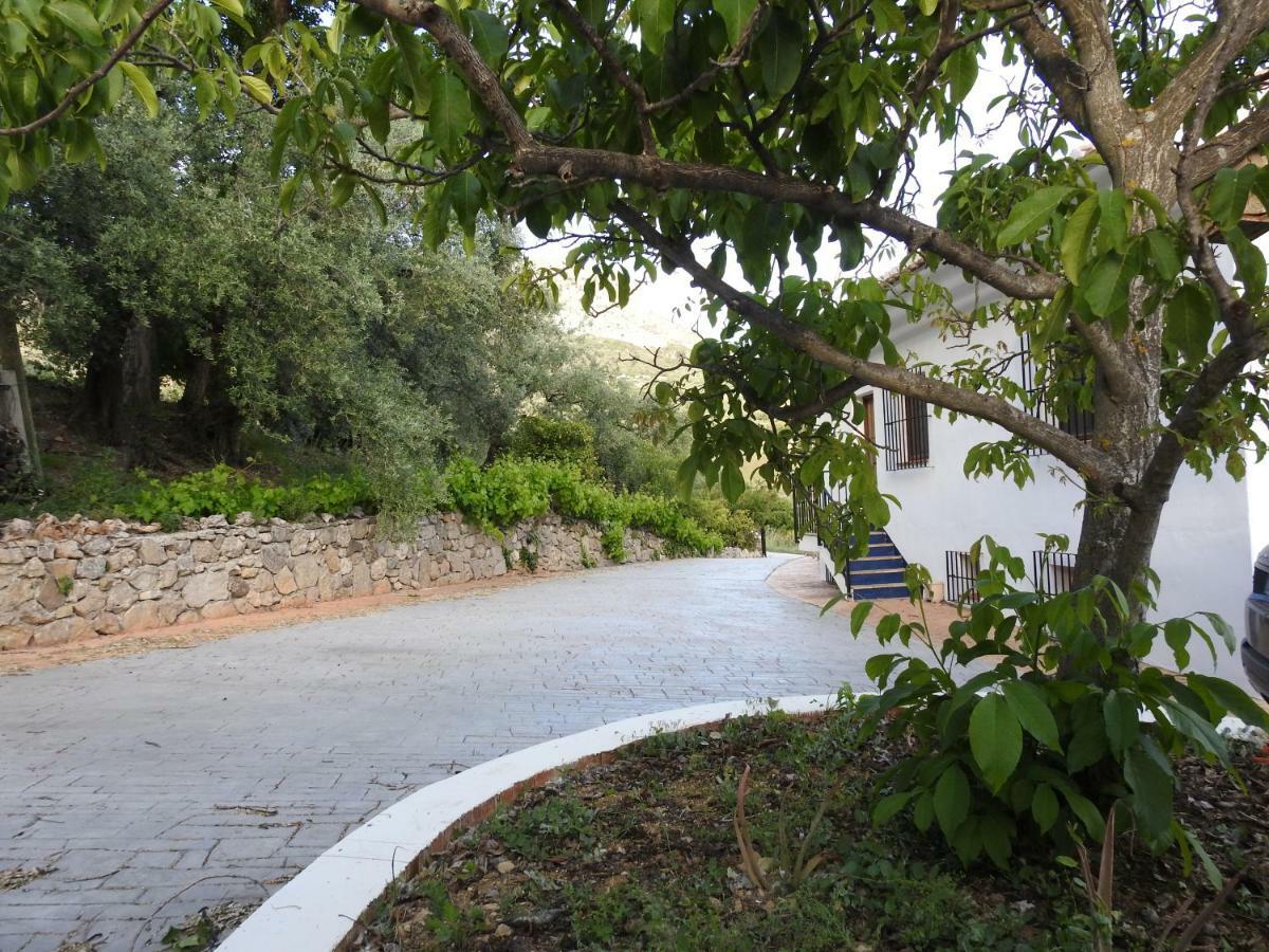Casa De Los Alamos Periana Exterior foto